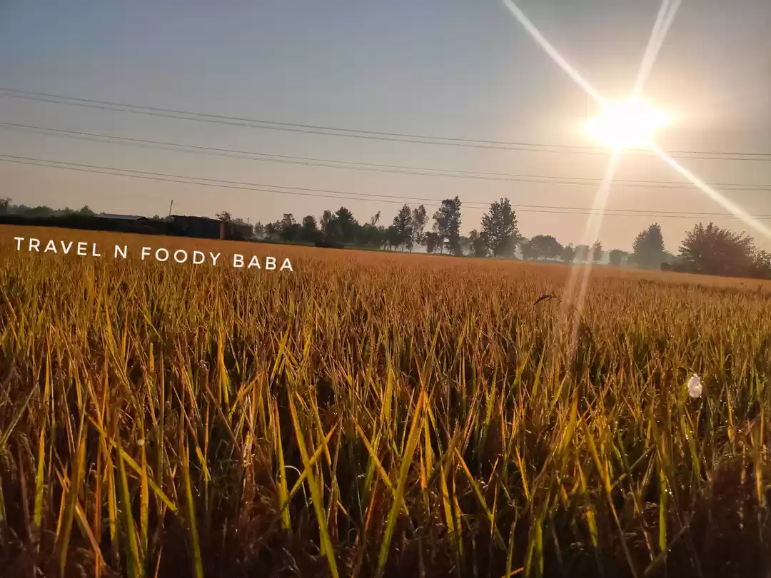 Photo of Village view, #Patha