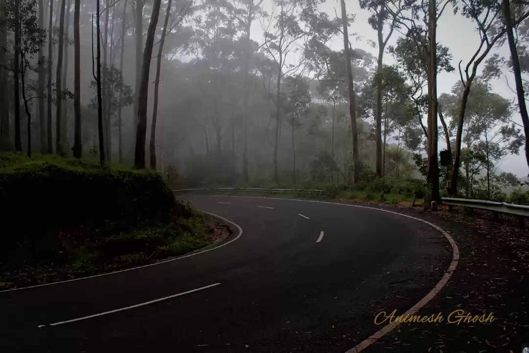 Photo of "Four wheels move th