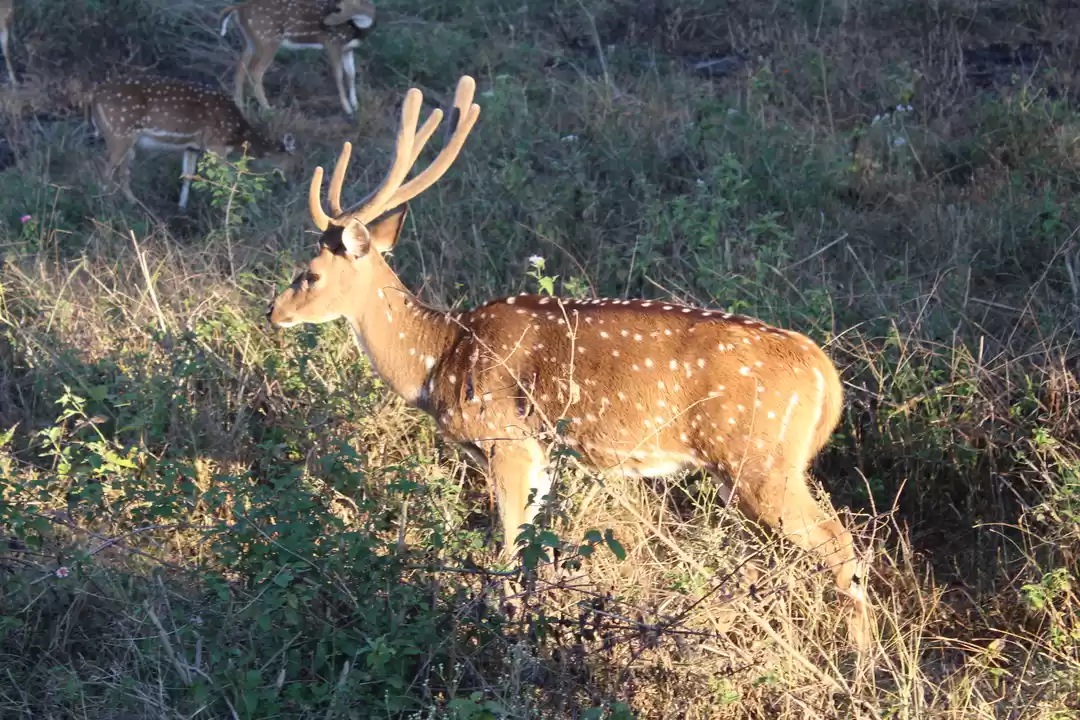 Photo of Weekend Ride to Band