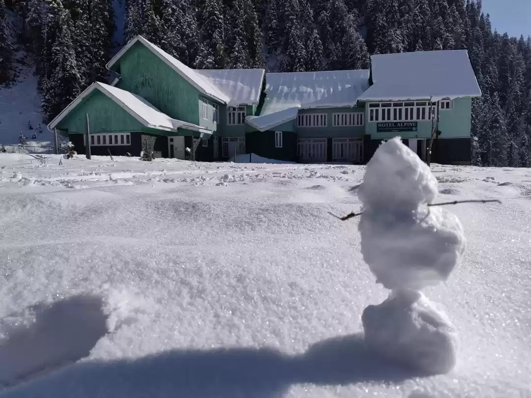 Photo of Kashmir : My Snow An