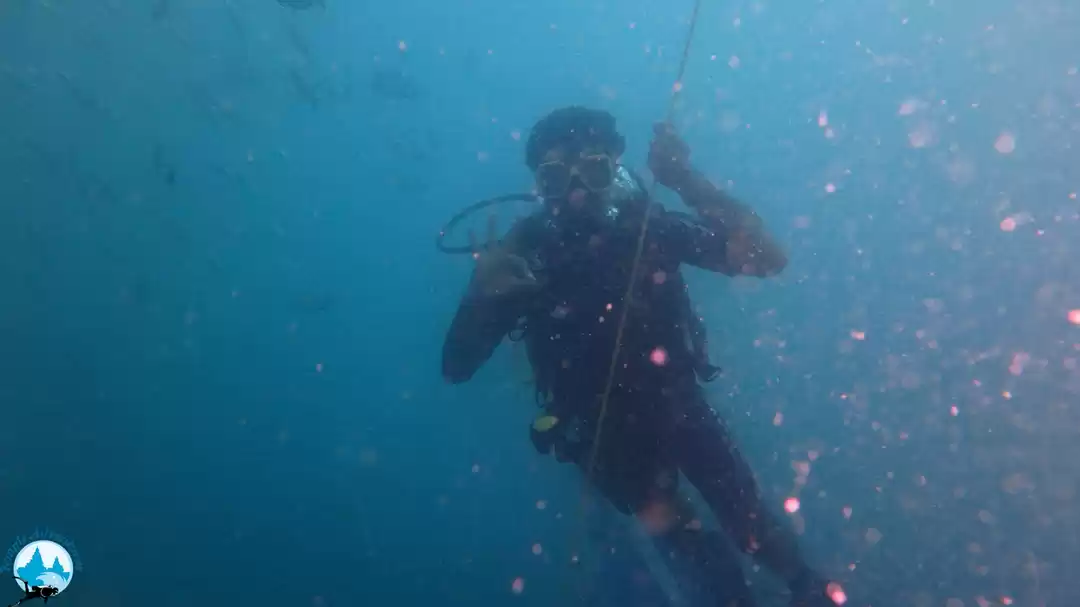 Photo of Scuba in pondicherry