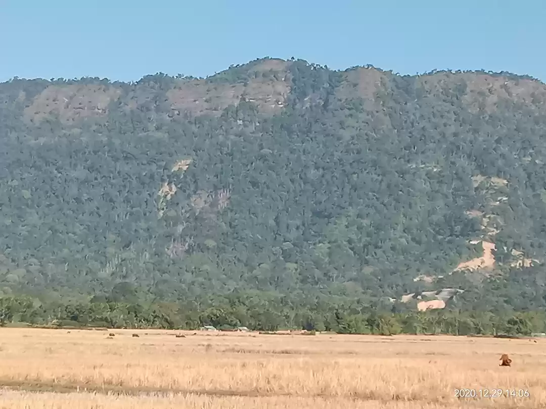 Photo of The Beauty of the Na