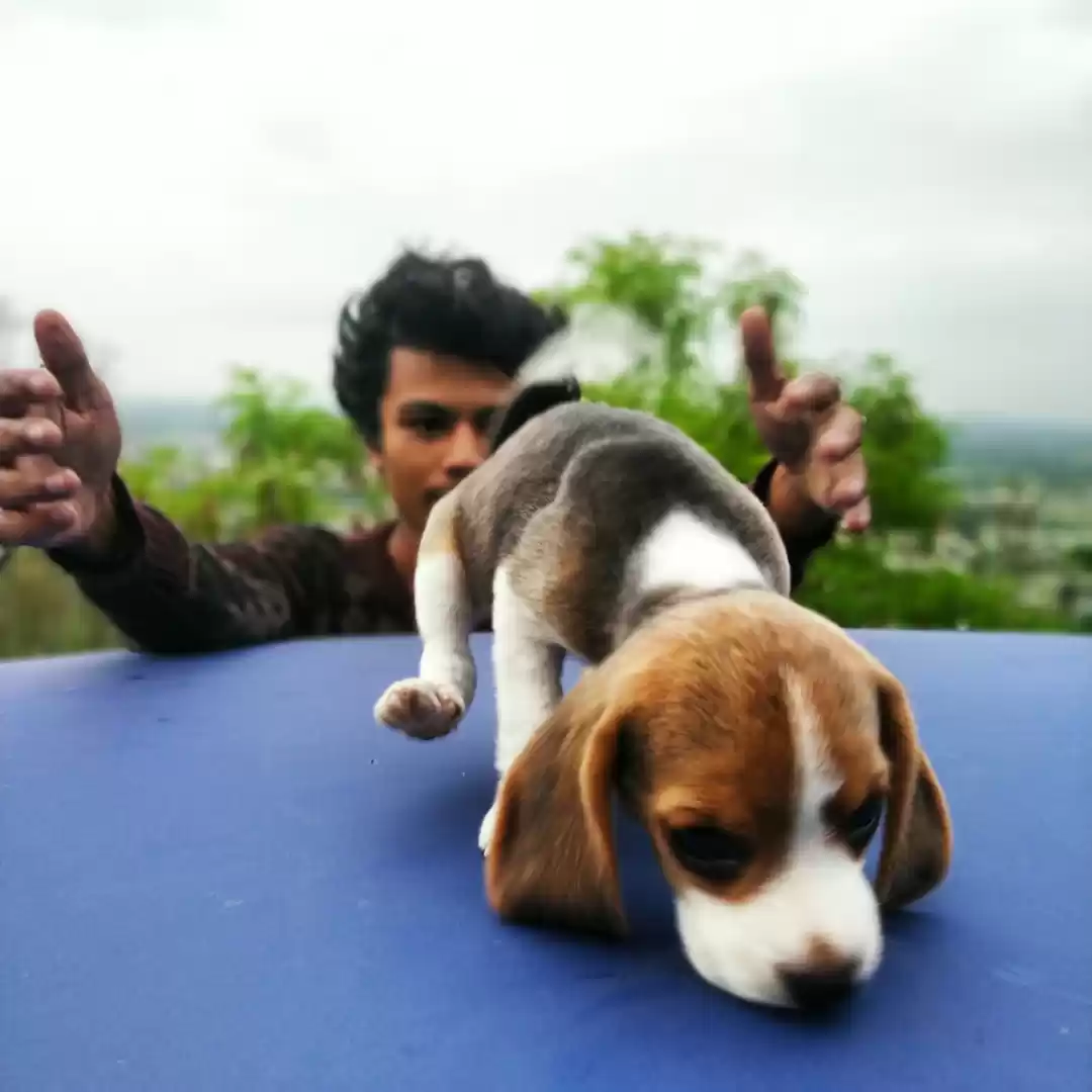 Photo of Chamundi hills make 