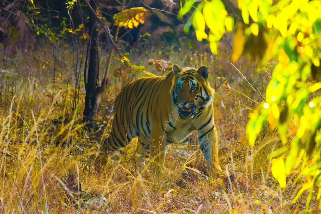 Photo of The Thrill of sighti