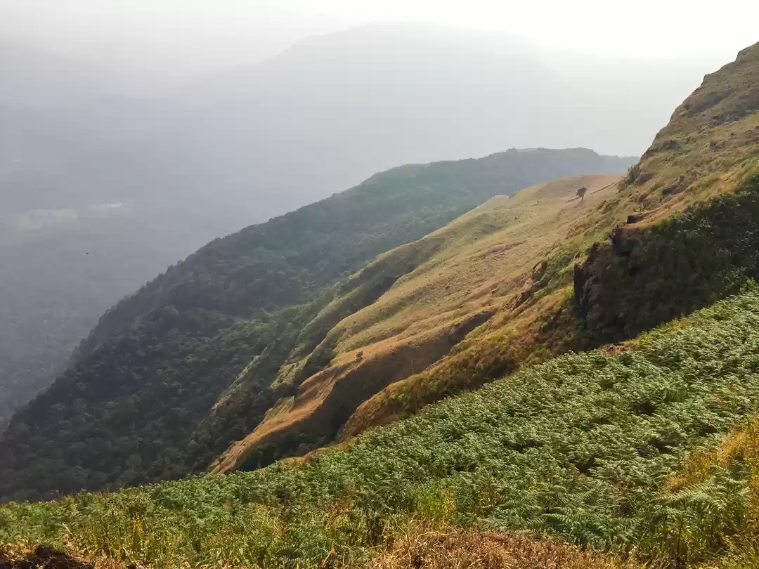 Photo of Trek to Kodachadri h