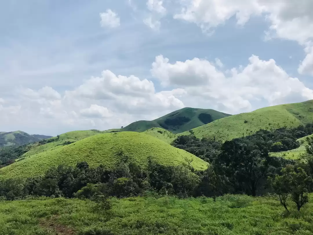 Photo of An unplanned road tr