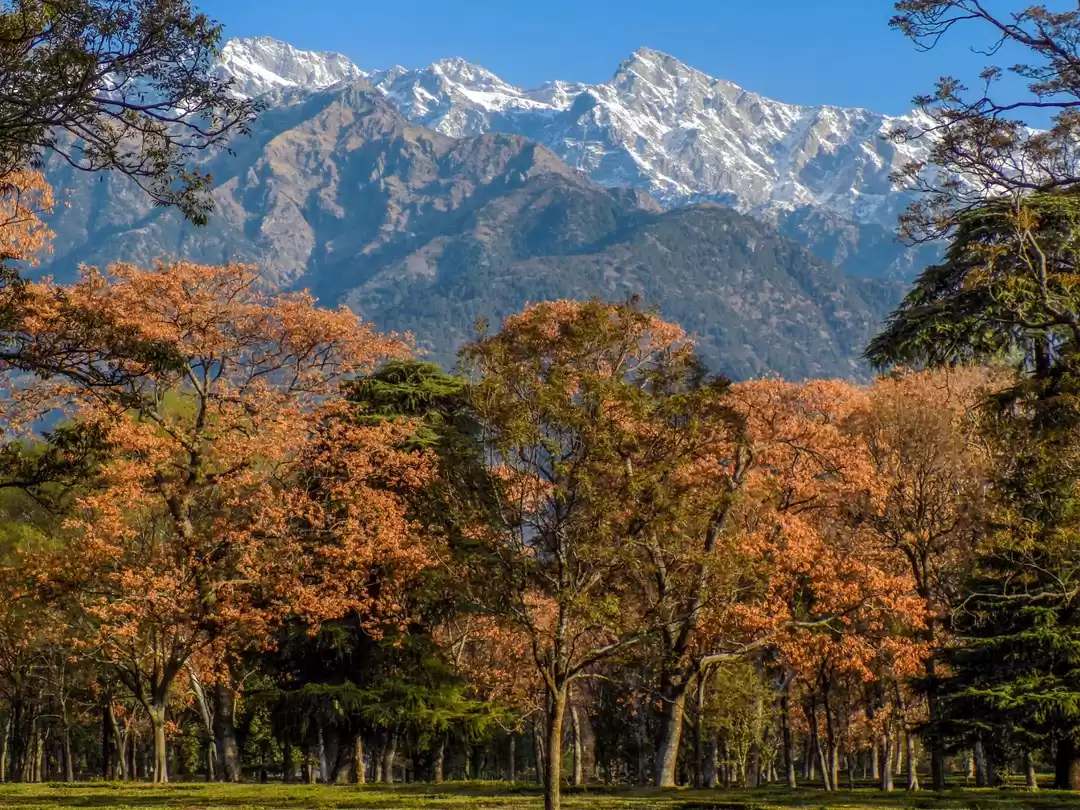 Photo of lower himalayan rang