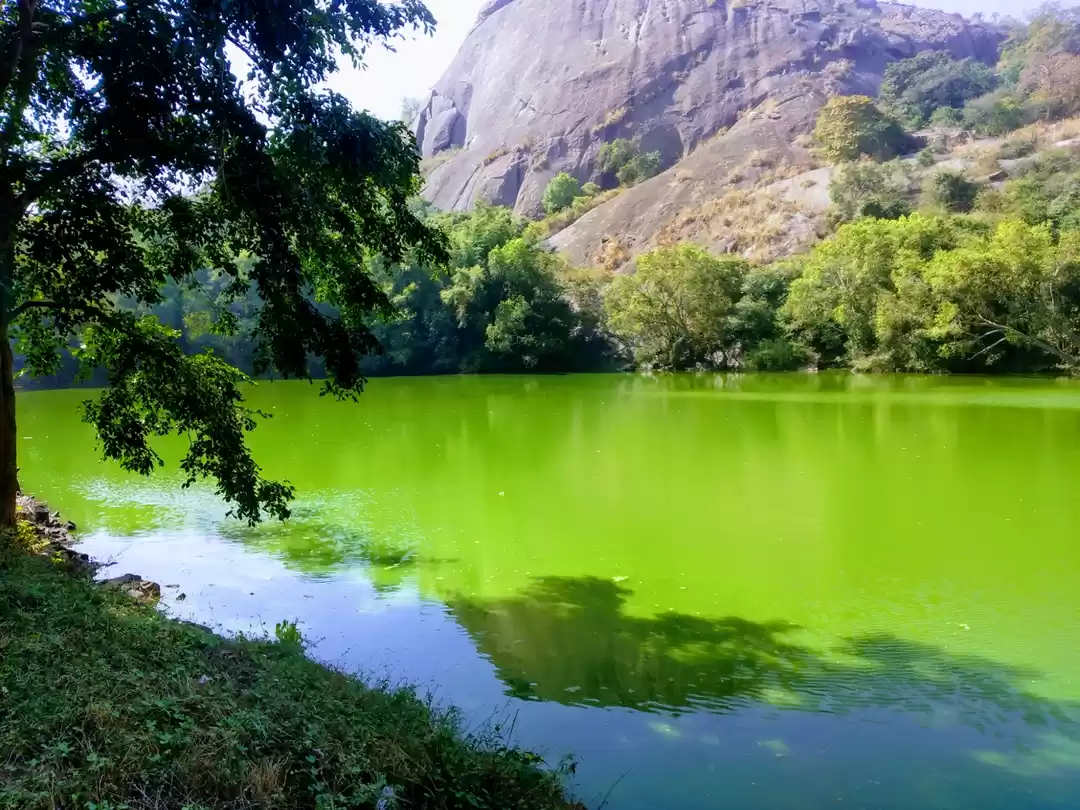 Photo of Nature painted in gr