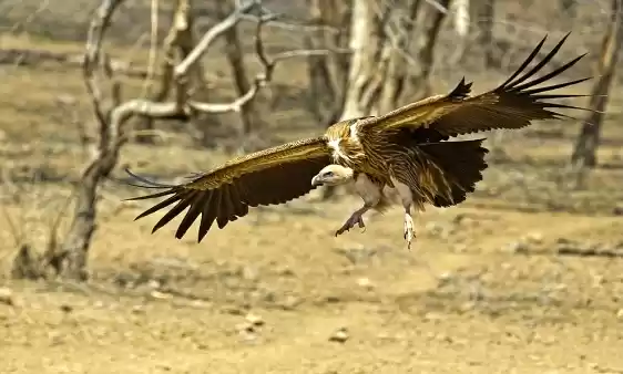 Photo of Photographing the We