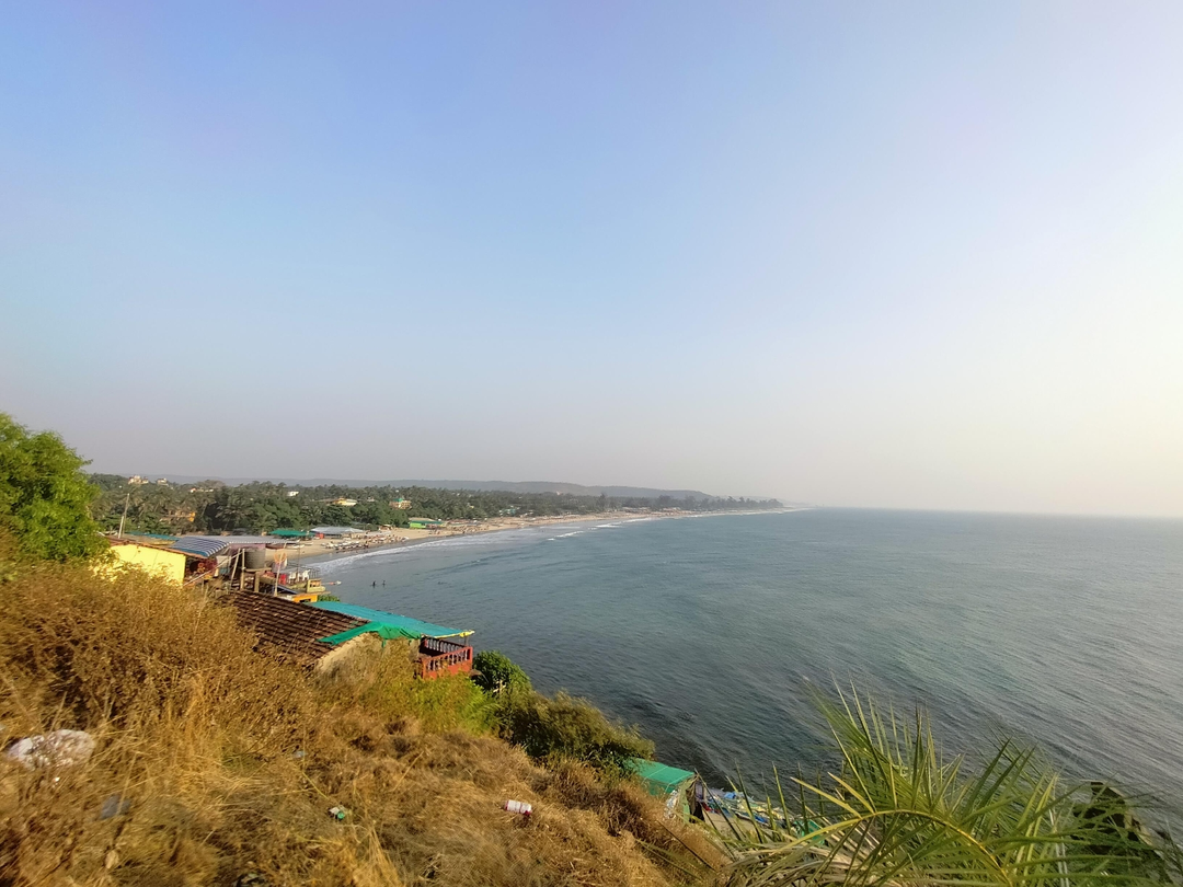 Photo of What best Goa can of