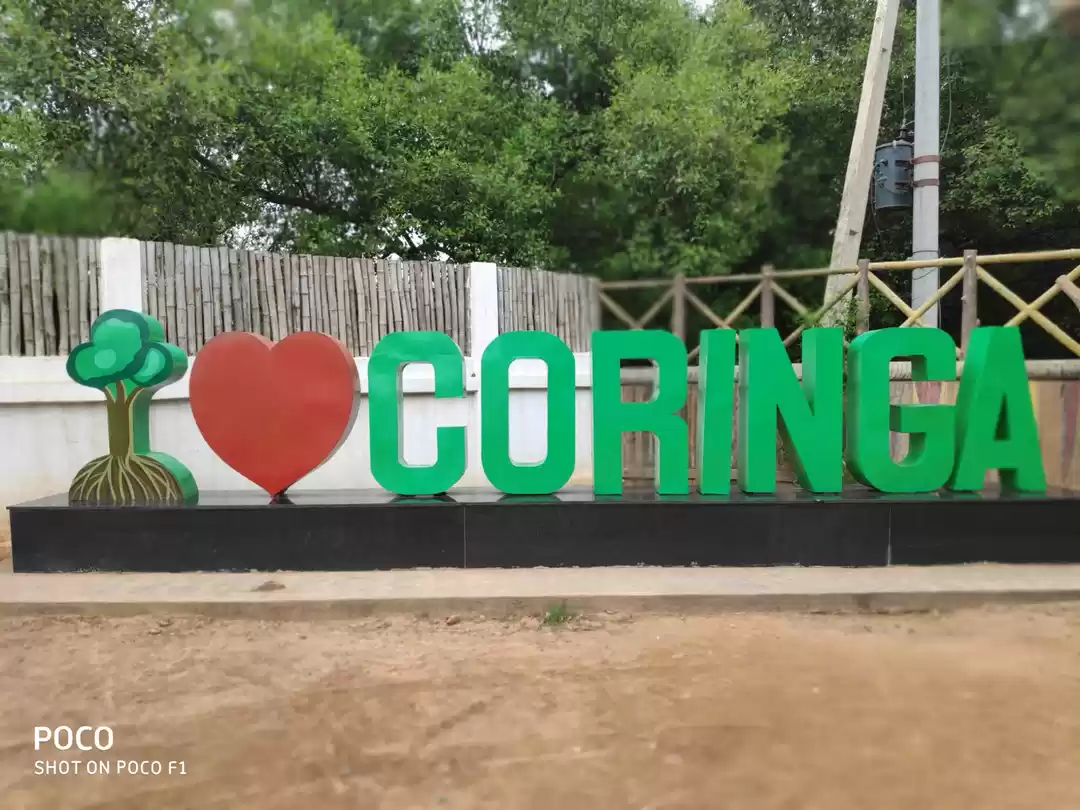 Photo of CORINGA WILD LIFE SA