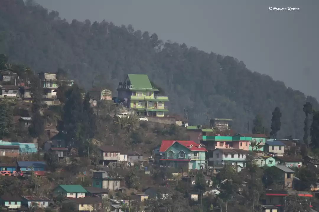 Photo of Latpanchar- A birder