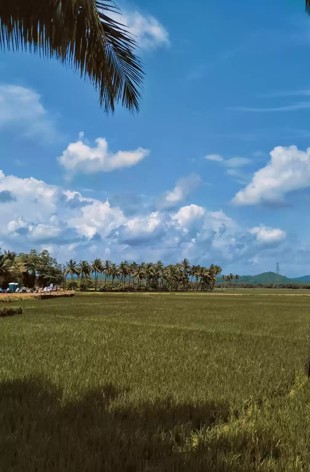 Photo of place called handdi 