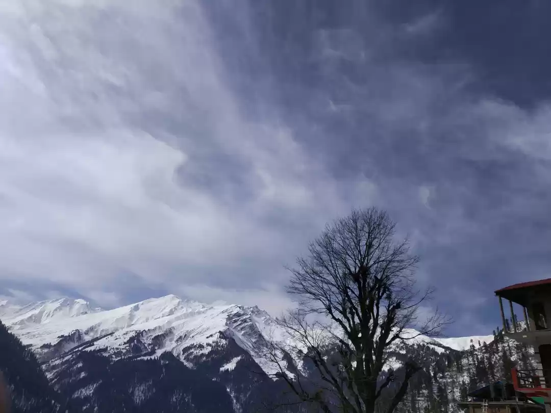 Photo of do lafange nikal pad