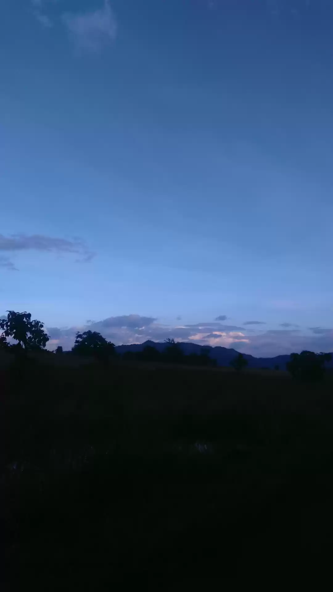 Photo of Adorable Trip...