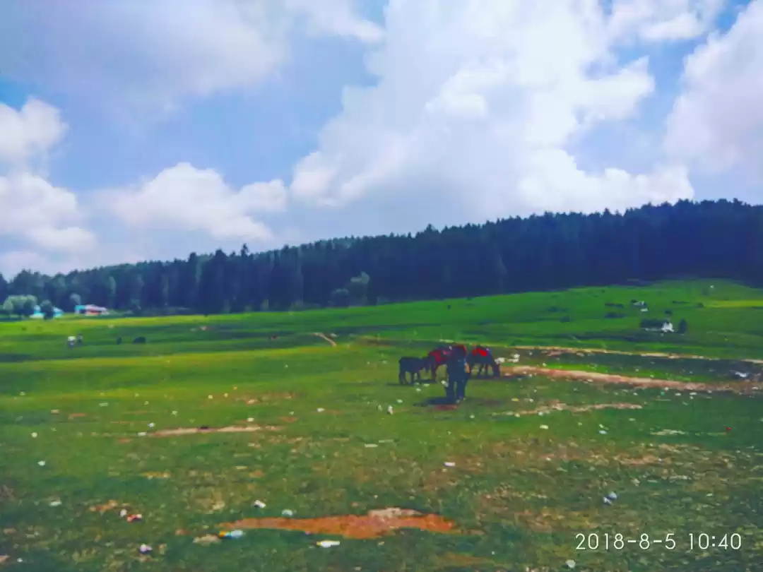 Photo of Trek to live