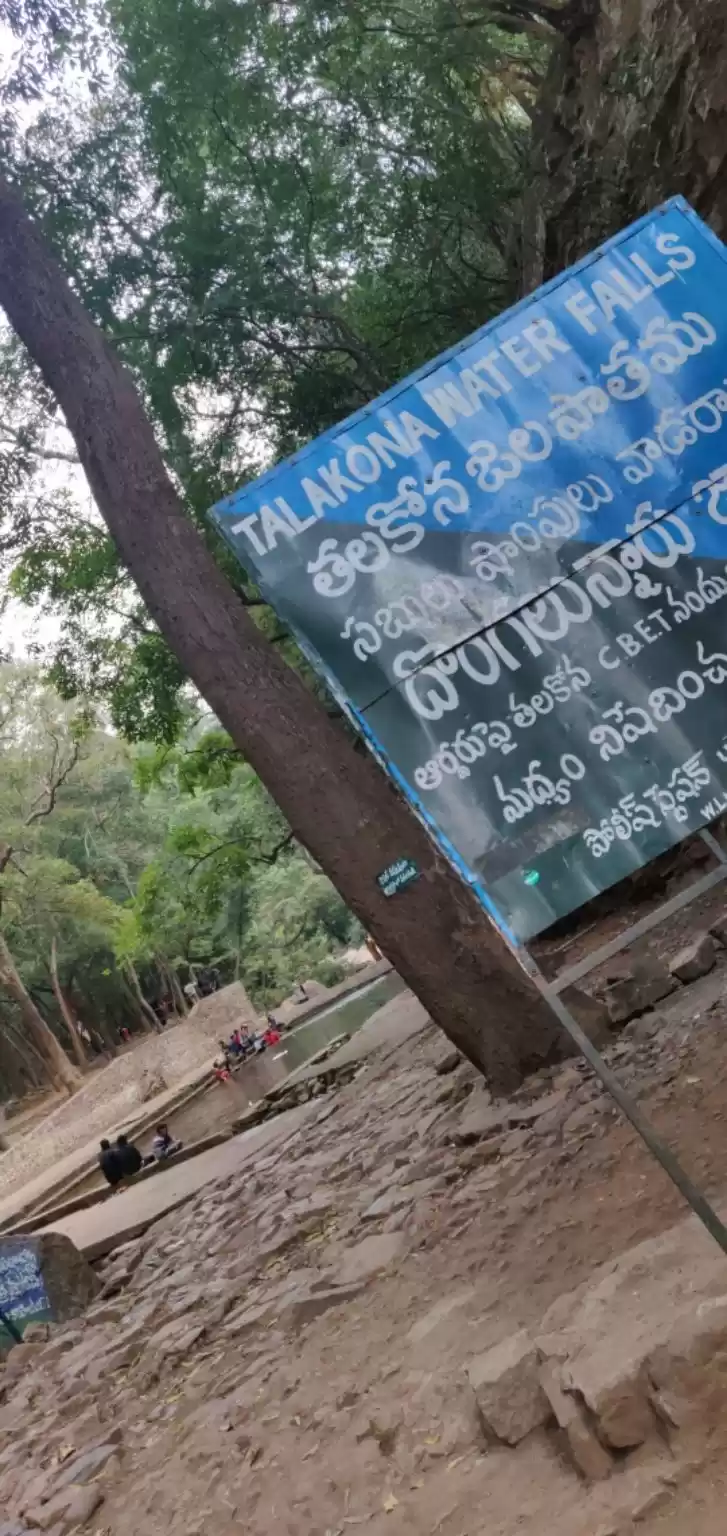 Photo of Talakona Falls