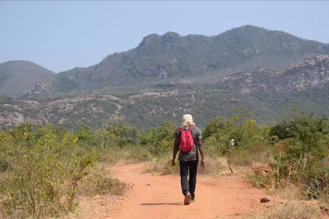 Photo of Trek to Nagalapuram 