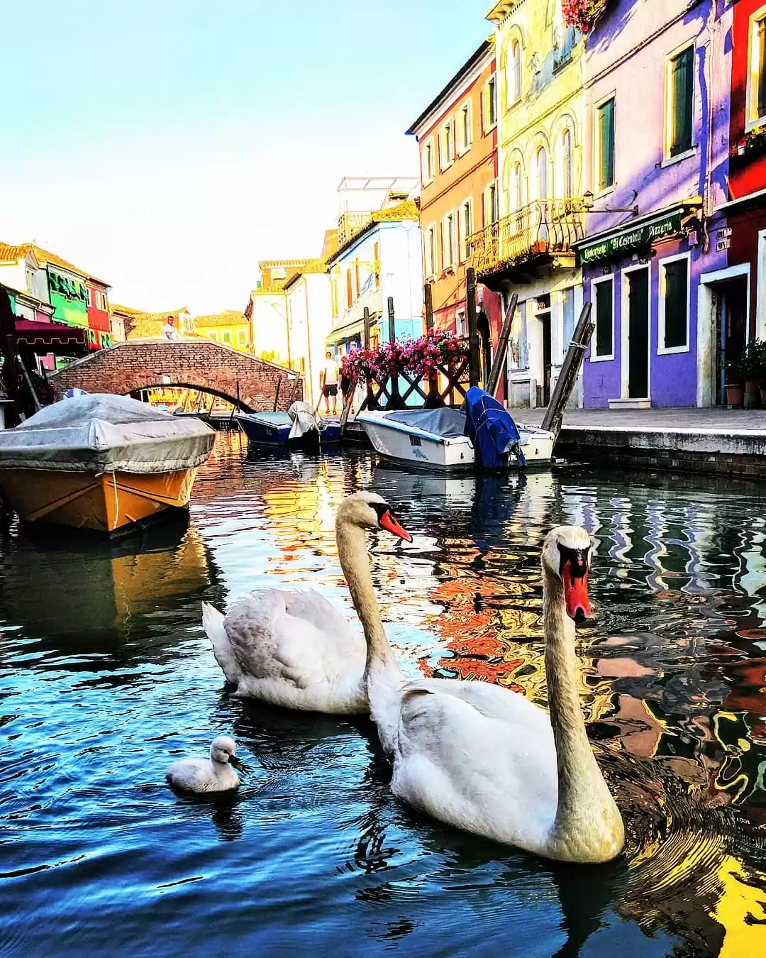 Photo of Dreamy Burano island
