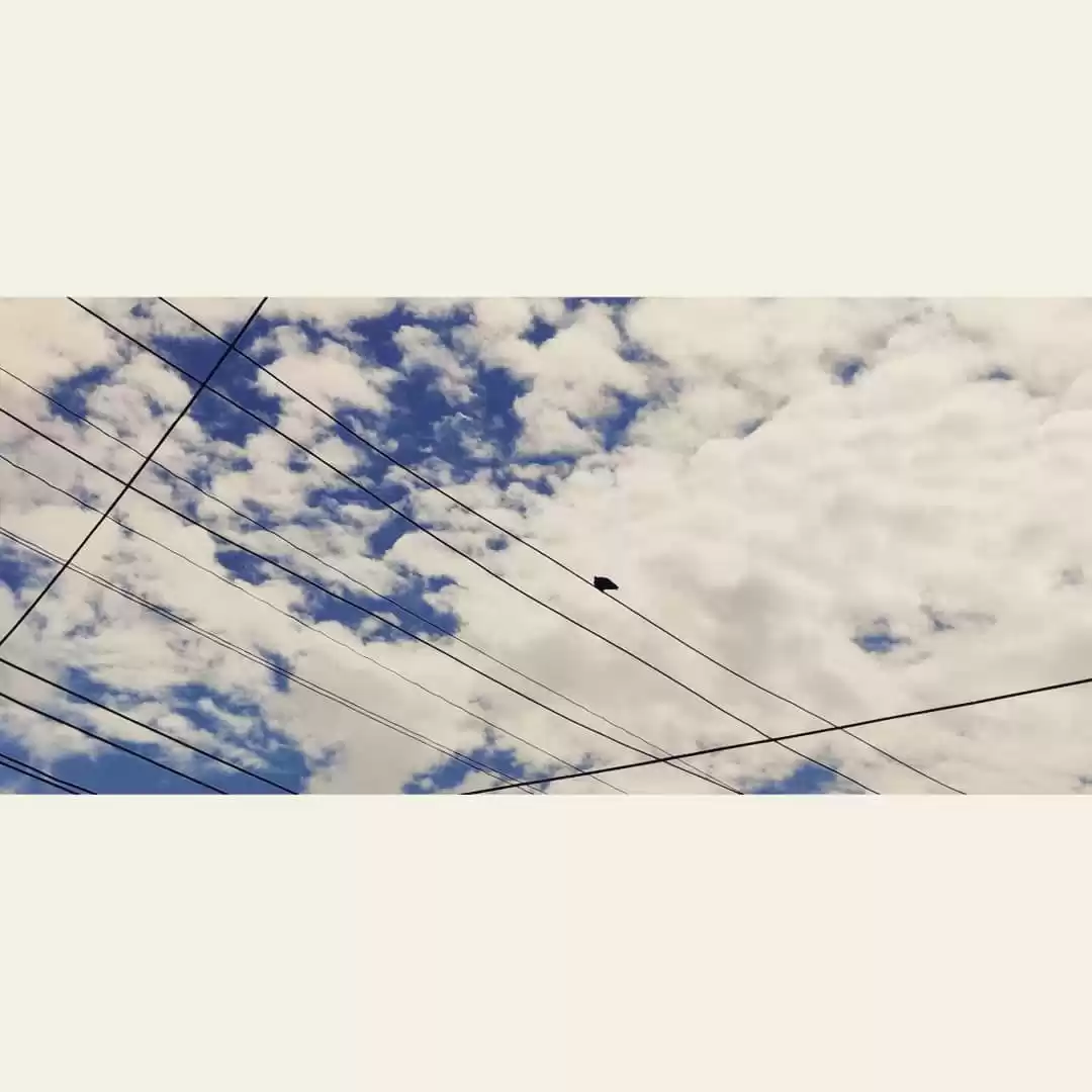 Photo of Finding offbeat in t