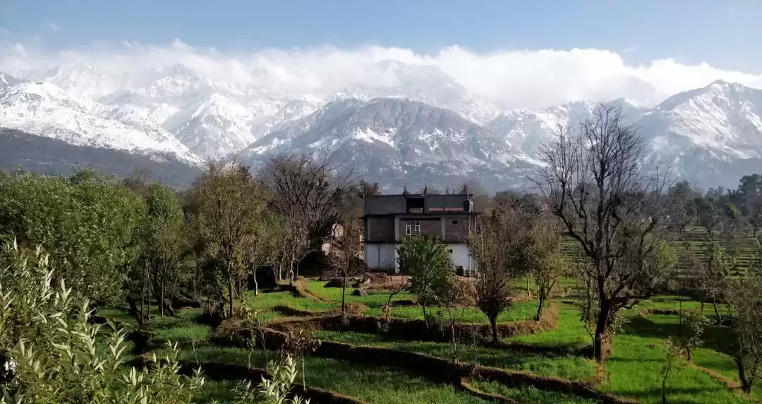 Photo of TRAVELING TO HIMACHA