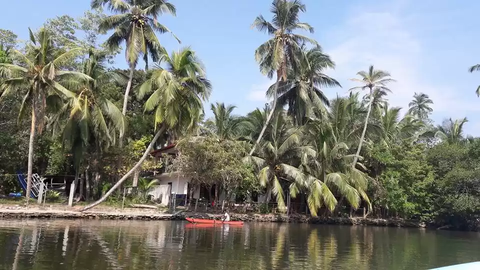 Photo of Discovering the beau