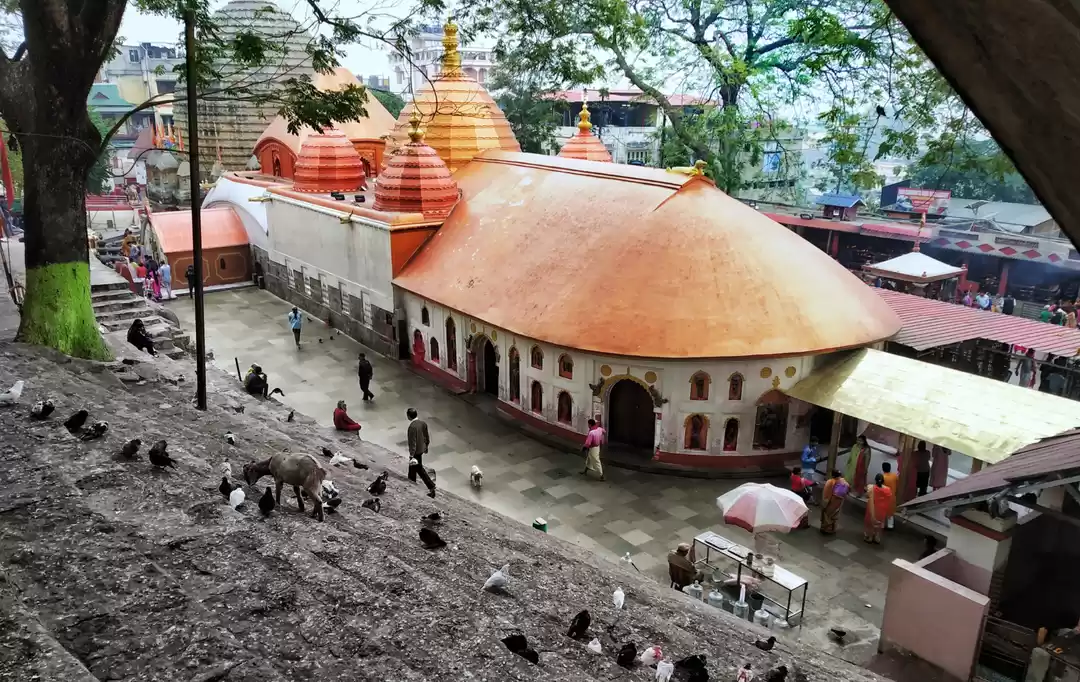 Photo of THINGS YOU NEED TO K