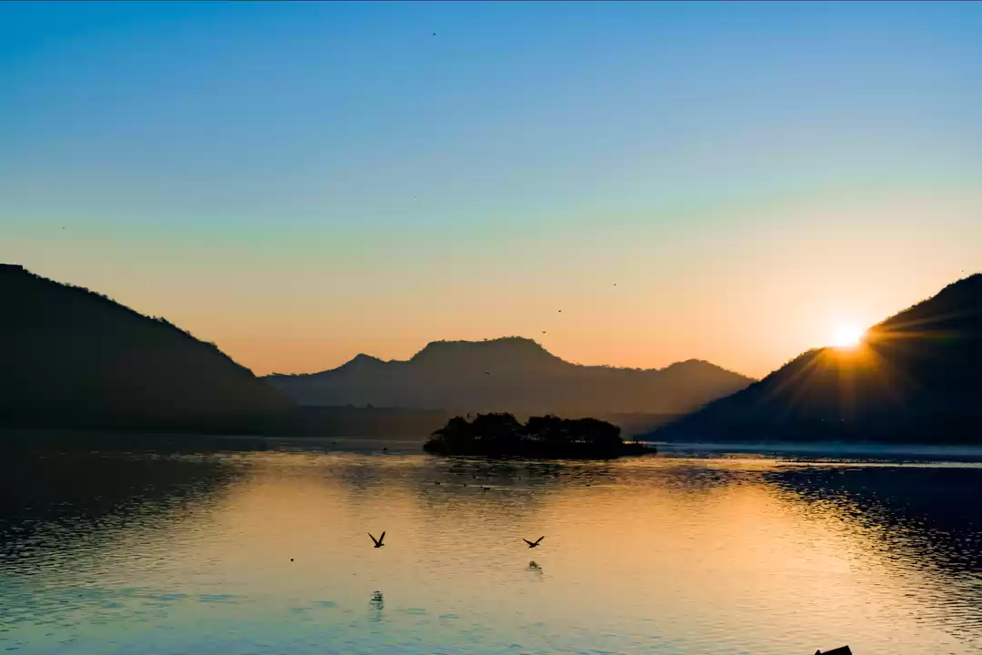 Photo of Watch birds play. 