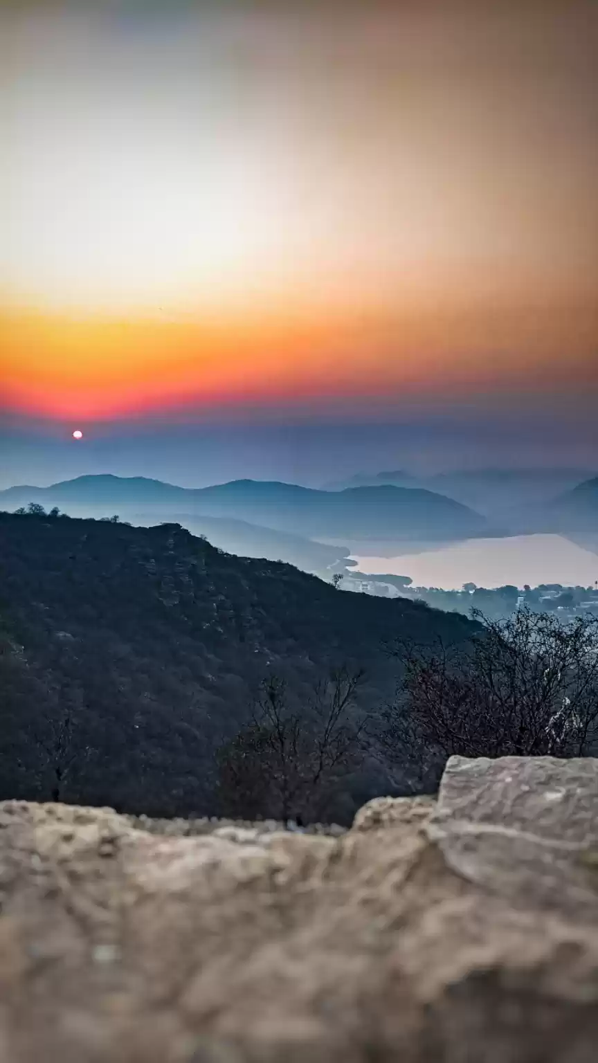 Photo of Chasing the red dot.