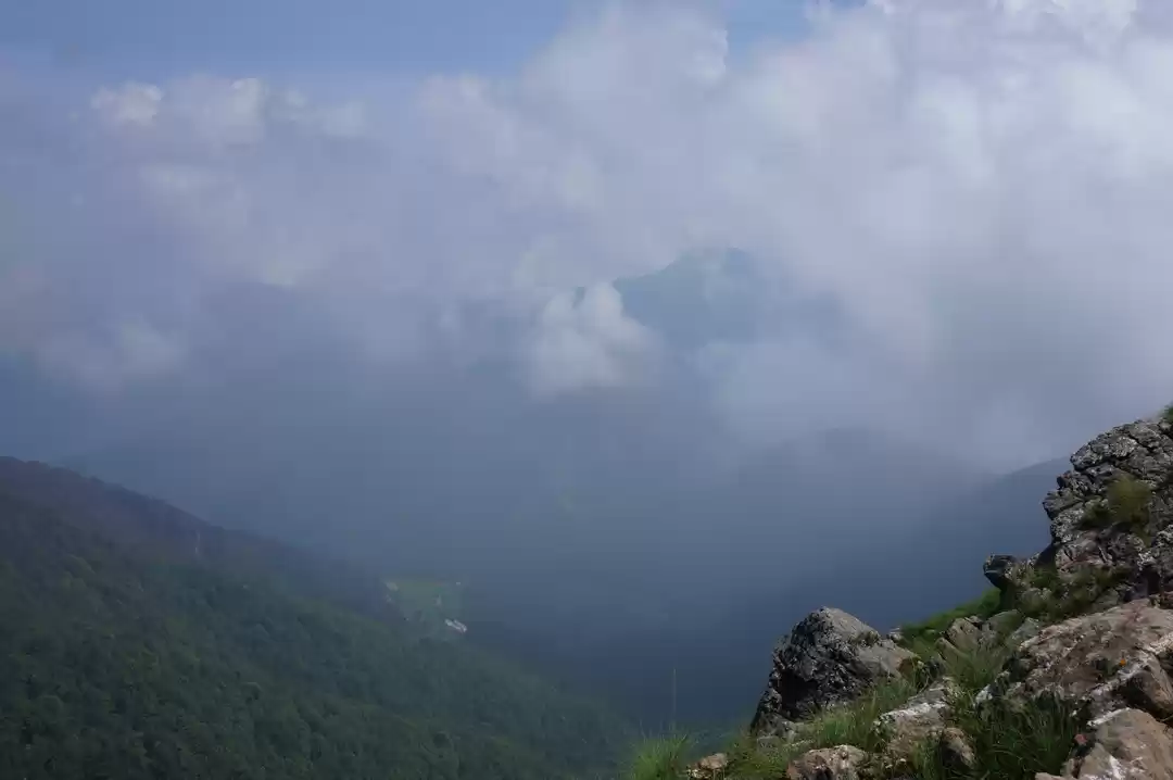 Photo of Where Windchime danc