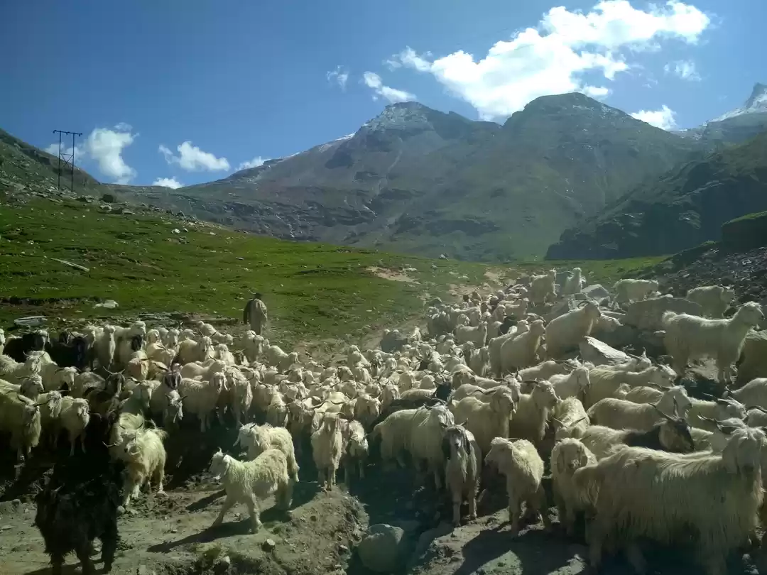 Photo of Beyond Rohtang Pass