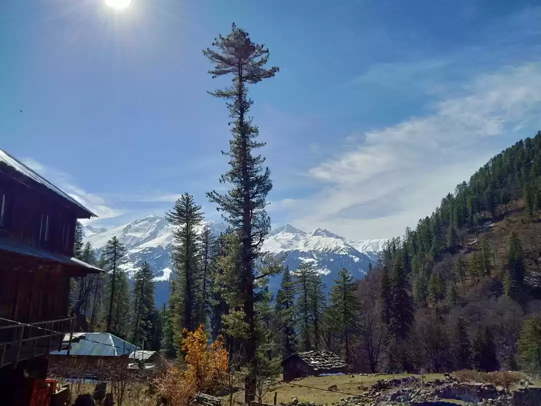 Photo of Chalal and Kutla ins