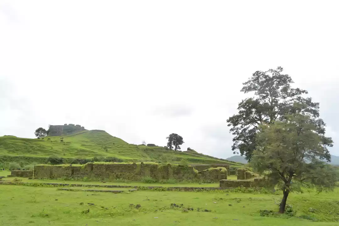 Photo of Majestic Malenadu (2