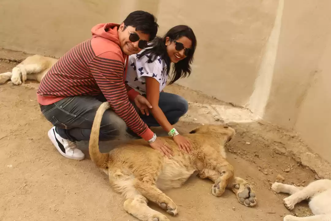 Photo of Date with African Li