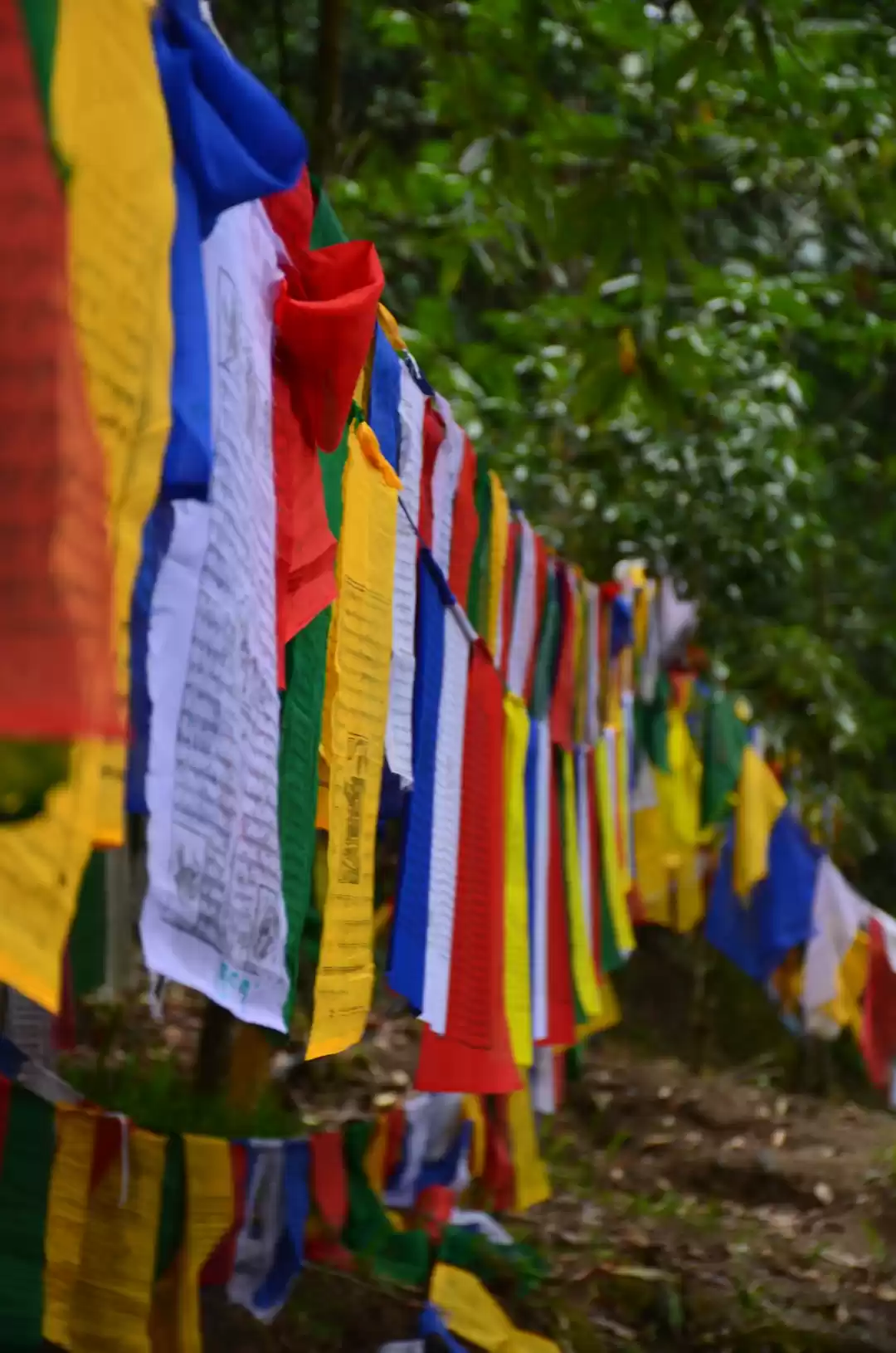 Photo of Les Montagnes - Nort