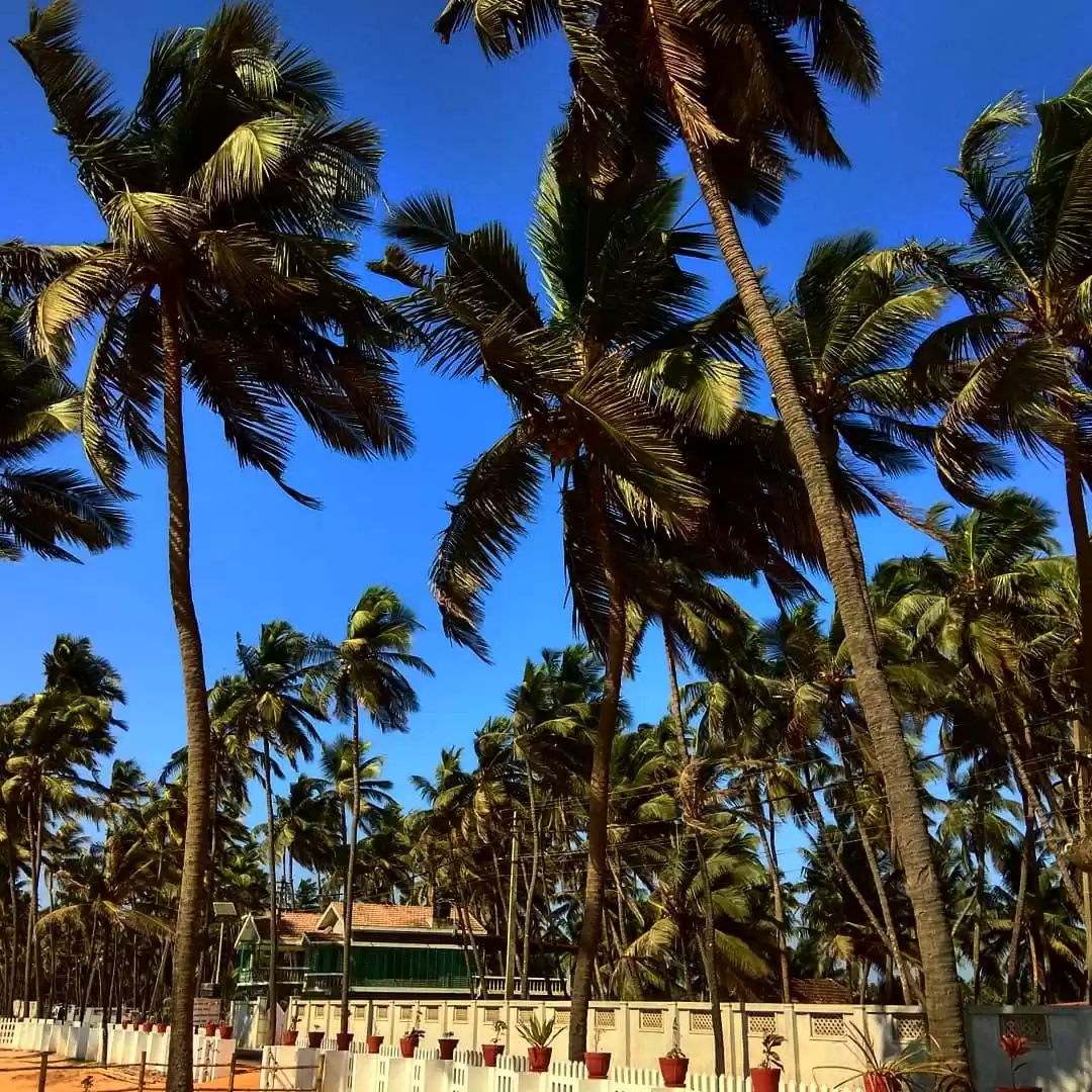 Photo of A few hours in parad