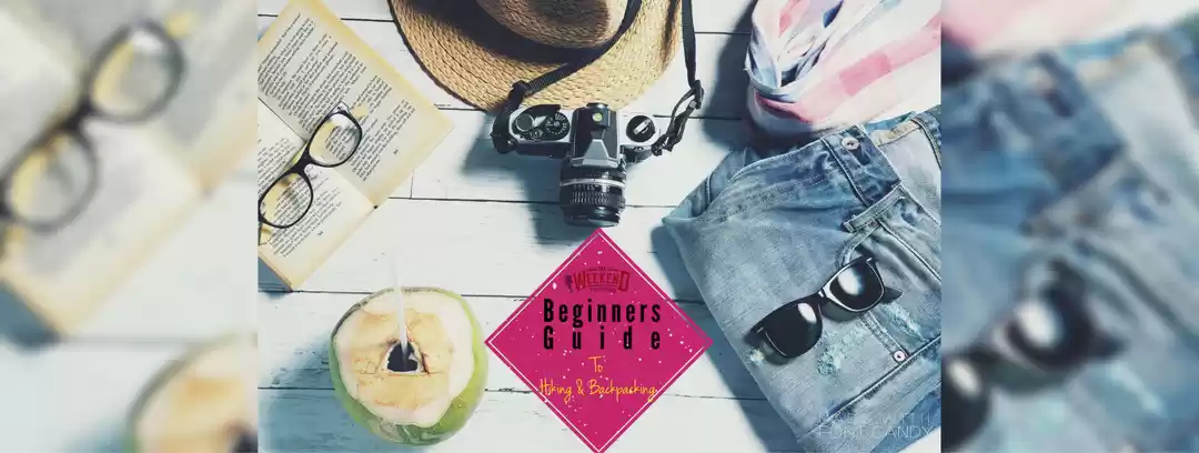 Photo of Beginner’s Guide to 