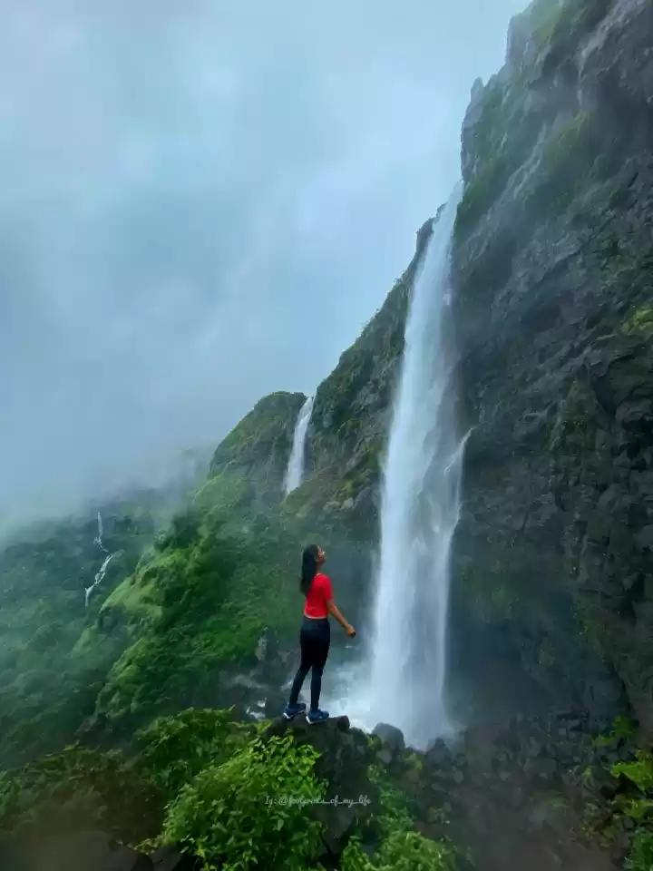 Photo of Paradise found 