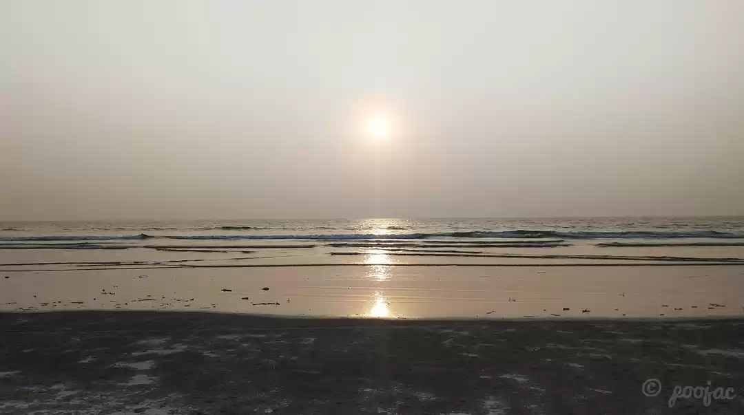 Photo of Black sand beach