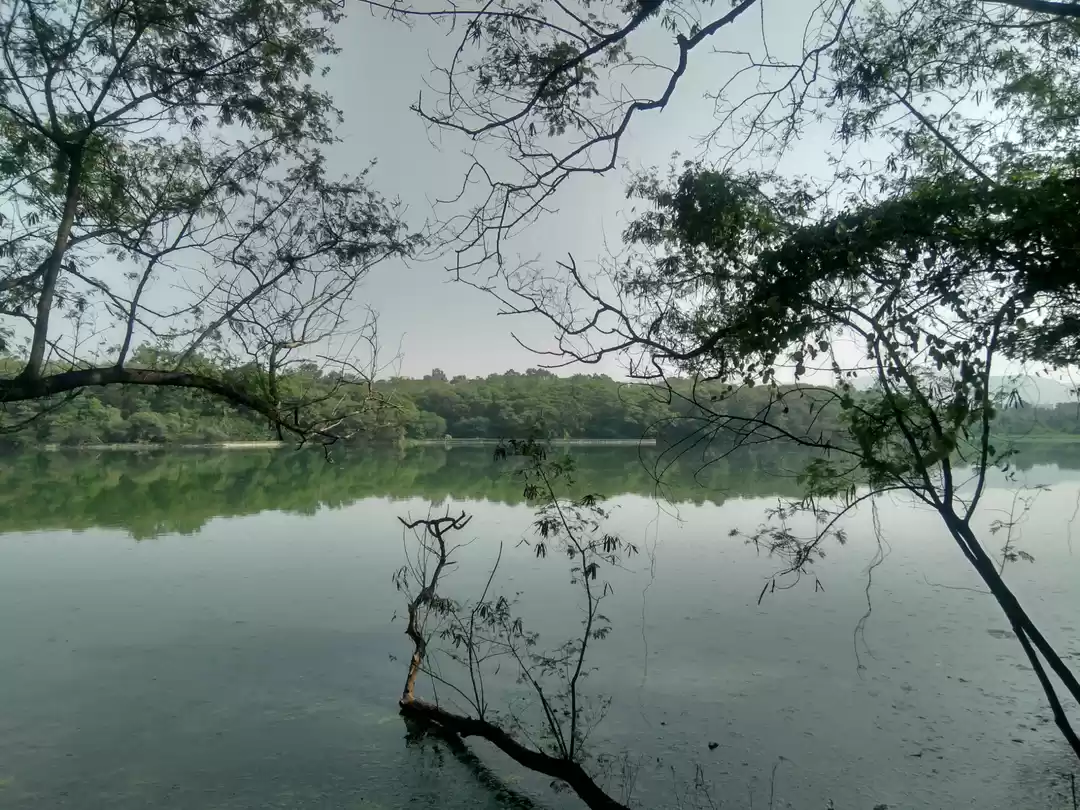 Photo of Rajiv gandhi zoologi