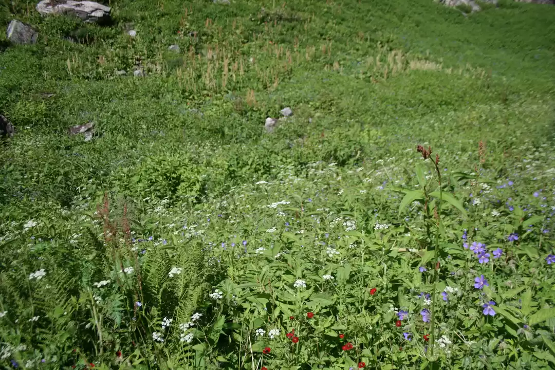 Photo of Portrait of a beauti