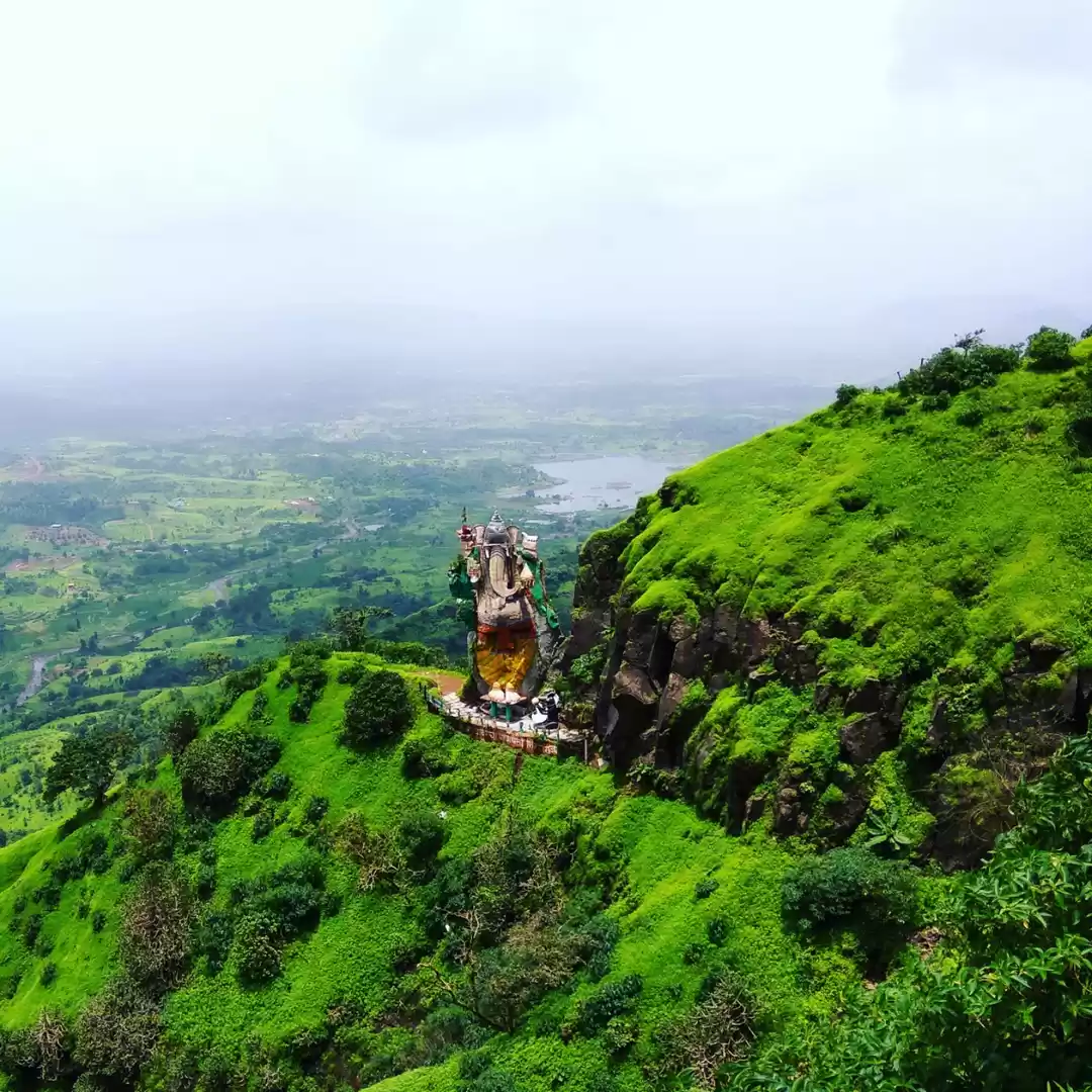 Photo of Off-beat view: A tre