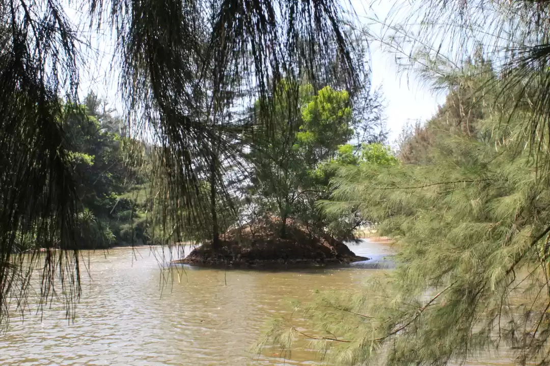 Photo of Apsarakonda beach,la