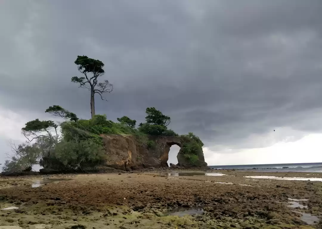 Photo of Coral bridge 