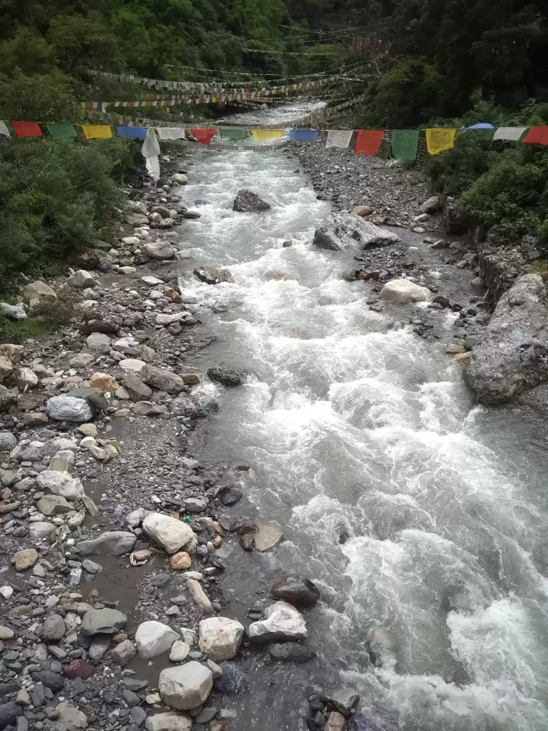 Photo of Uttarakhand diaries