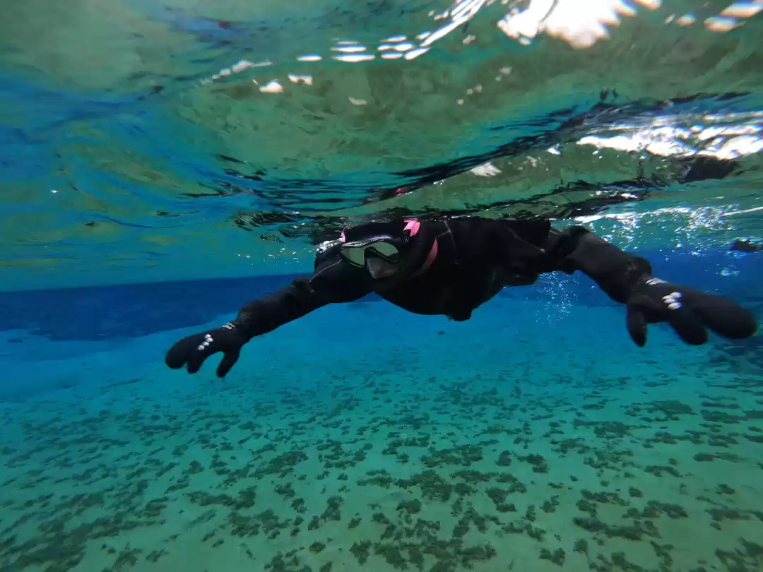 Photo of Snorkeling between t