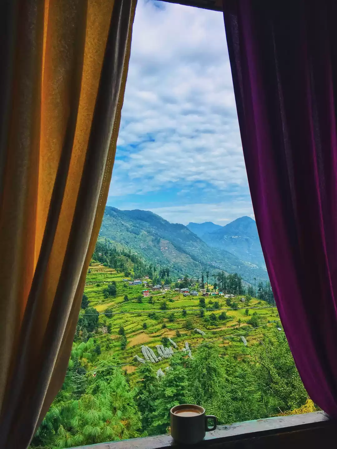 Photo of JIBHI - a raw beauty