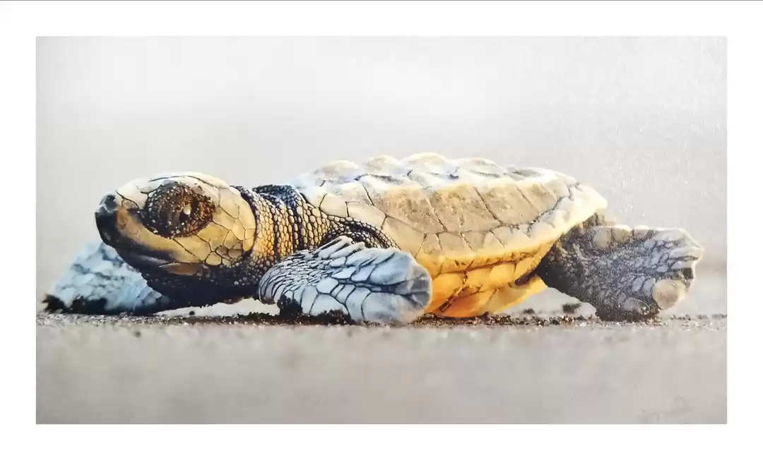 Photo of The best solo trip f