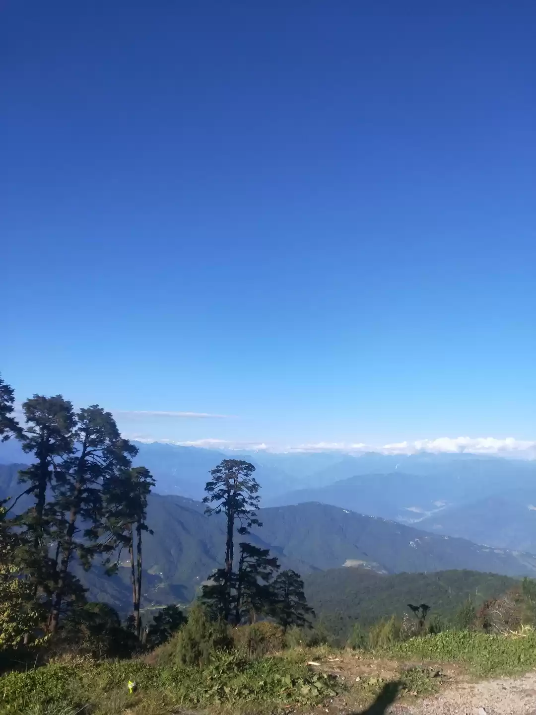 Photo of A Visit To Dochula P