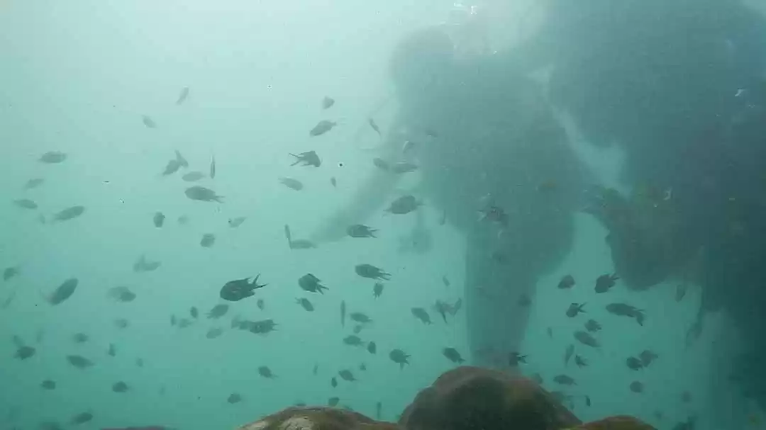 Photo of My first adventure s